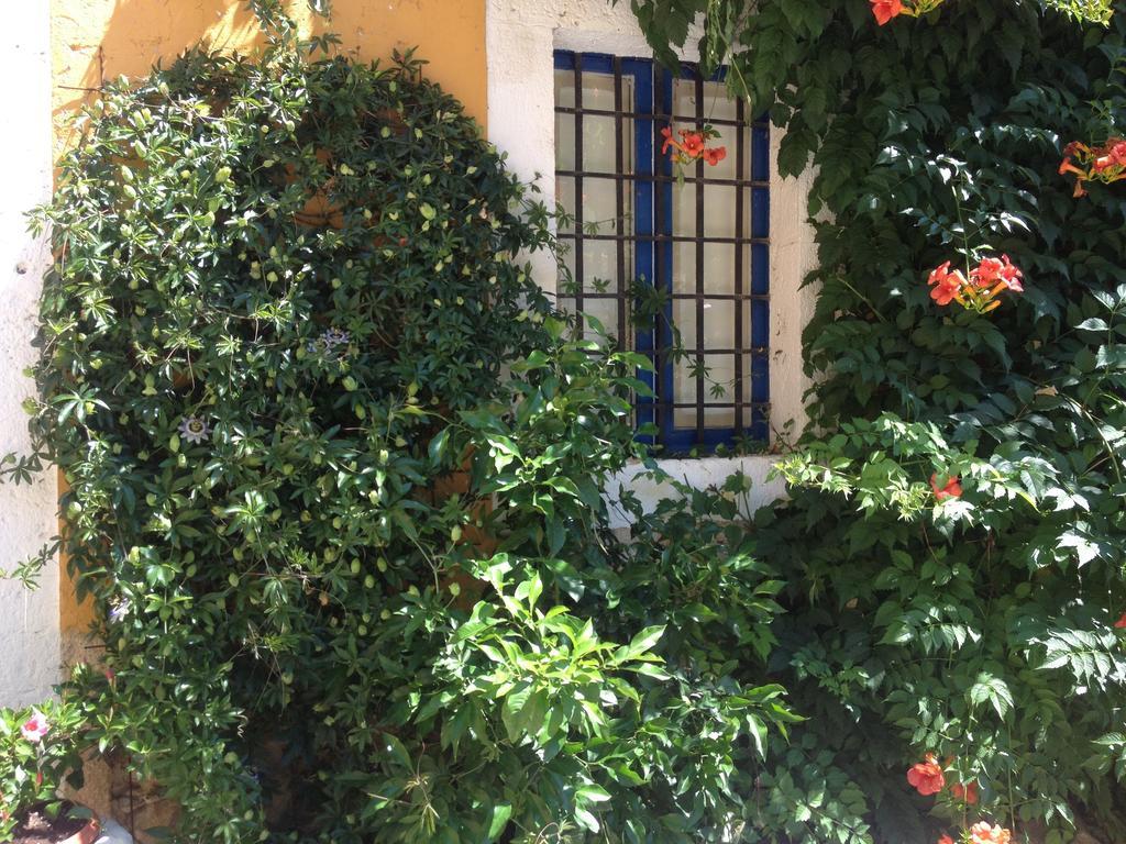 Maspitra B&B Besalu Bilik gambar